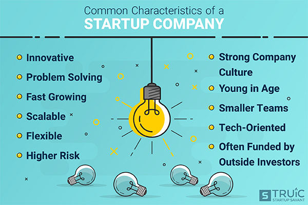 Entrepreneurs working together.