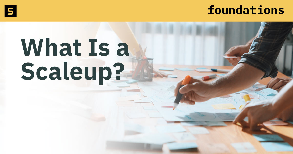 What Is a Scaleup?