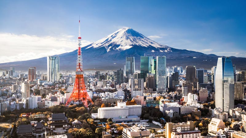 Mt. Fuji and Tokyo skyline.