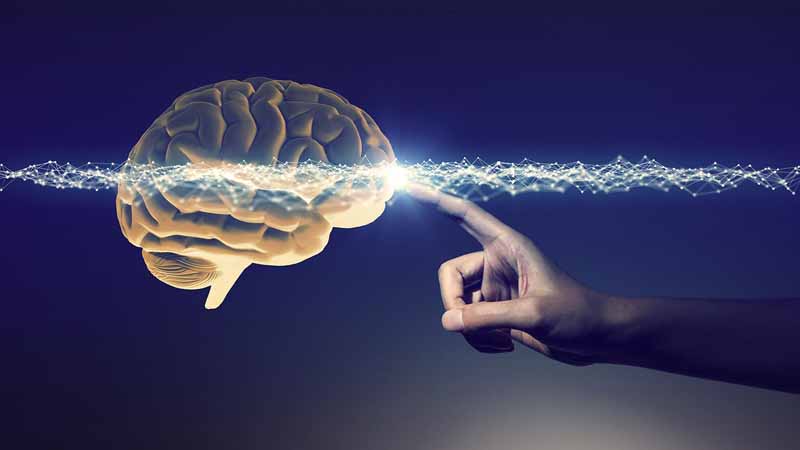 A hand touching a 3D rendering of a brain.