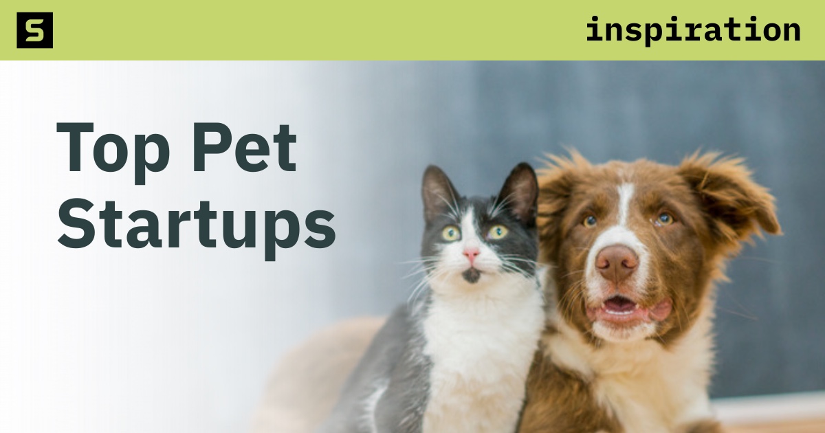 Top Pet Startups graphic featuring a black-and-white cat and a brown-and-white dog.